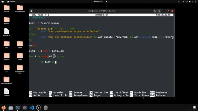 ? Programar BASH SCRIPTING | Crear un SCRIPT para ESCANEAR INFORMACIÓN de un ORDENADOR ? смотреть онлайн