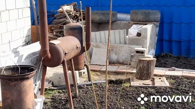 Дача зеленеет. Рассада растёт смотреть онлайн