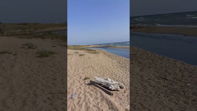 Экология Каспийского моря #1 лето2023