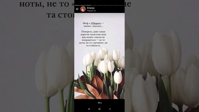 Как делать статусы вотсапп! Много статусов одним нажатием ?