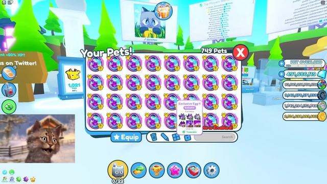 Hatching 1,000 Exclusive Eggs In Roblox Pet Simulator X смотреть онлайн