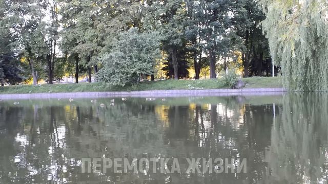 НЕ УМЕЛА ОТКАЗЫВАТЬ НИКОМУ. Истории из жизни людей. Аудио рассказы слушать онлайн смотреть онлайн