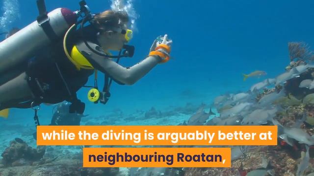 THE WORLD'S BEST PLACES TO LEARN TO SCUBA DIVE & Travel Tips смотреть онлайн