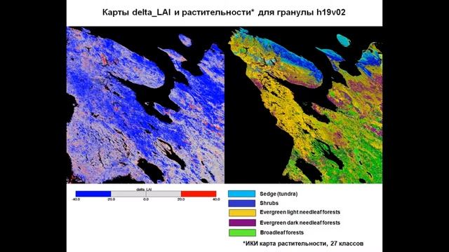 XVI.F.14 - Анализ временных рядов 250 м MODIS LAI (мониторинг северных лесов России) - Шабанов Н. В смотреть онлайн