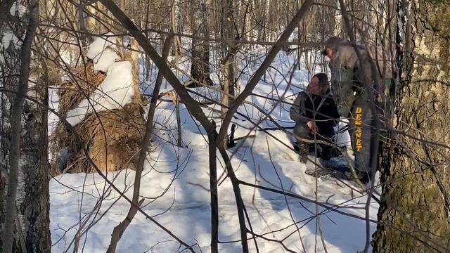 Ушли далеко в лес, Трой ищет меня впервые🥰#canecorsoitaliano #канекорсо #tttt #канекорсоитальяно смотреть онлайн