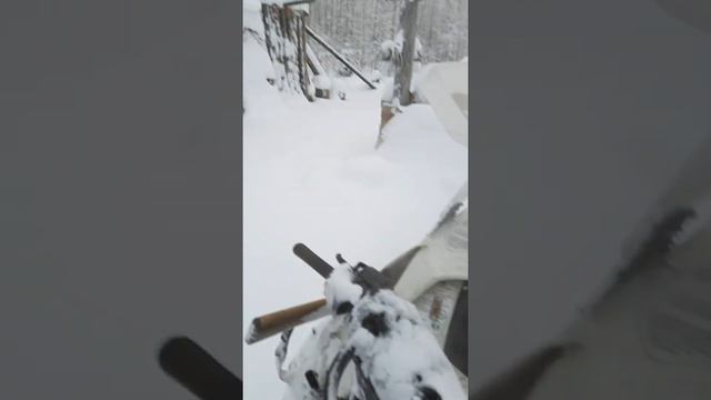 Зимний лес в Усть-югане смотреть онлайн