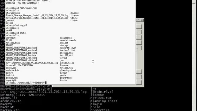 Uninstalling TDP SAP V6.3 from UNIX and Linux Operating Systems смотреть онлайн