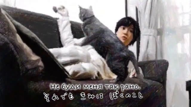 кошачья магия/cat majic as Russian ver. смотреть онлайн