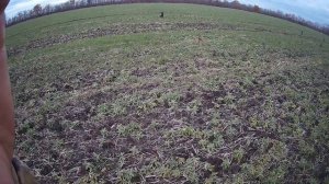 Охота на зайца.Краснодарский край,опытный заяц