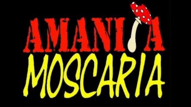 A Path Unknown - Amanita Moscaria смотреть онлайн