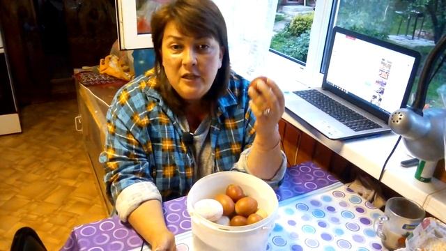 Как охладить яйцо во время инкубации//видео ответ для Ольги// смотреть онлайн