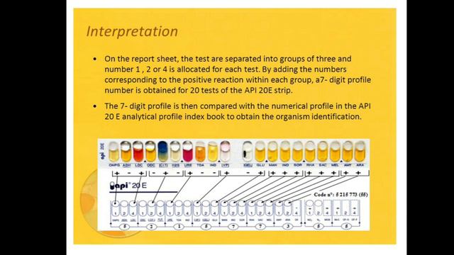 Lec 3 ( Part 3 ) Enterobacteriaceae смотреть онлайн