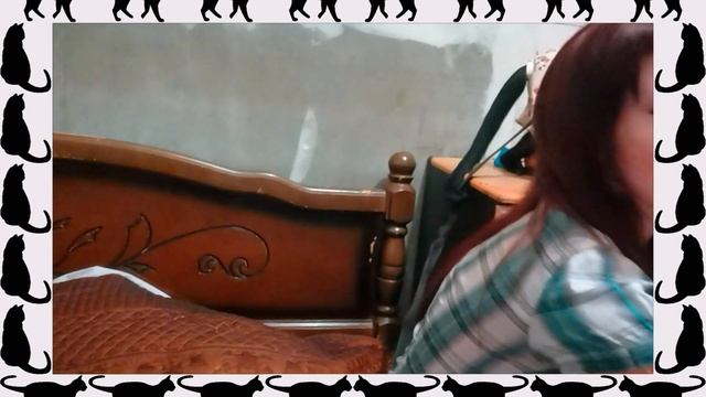 Новый дом котенка! смотреть онлайн