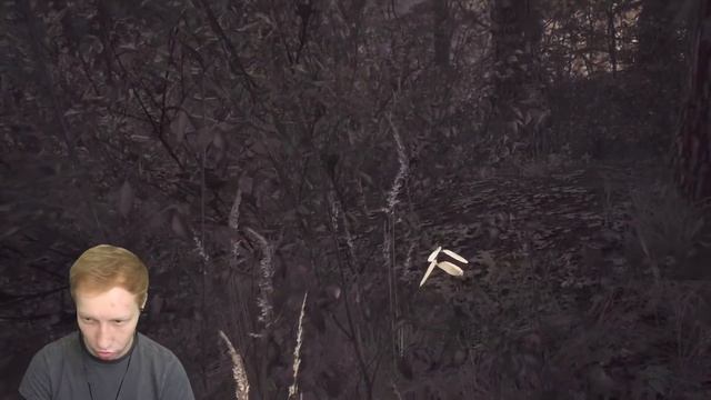 Обзор игры Blair Witch | Геймплей и прохождение смотреть онлайн