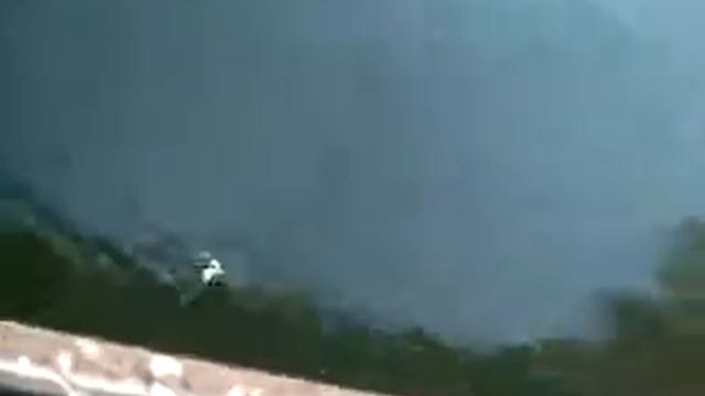 Моя бесстрашная жена прыгает с моста. р.Сок. 2009г. смотреть онлайн