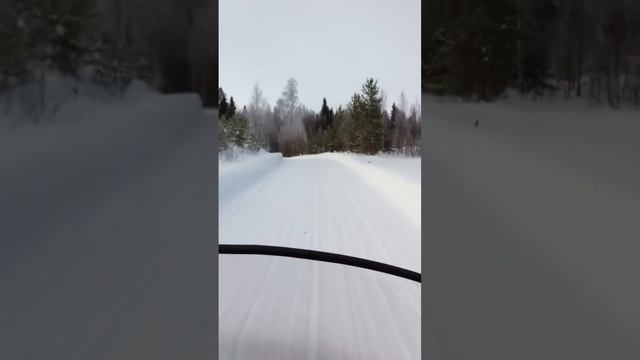 LYNX 59 YETI small cruising смотреть онлайн