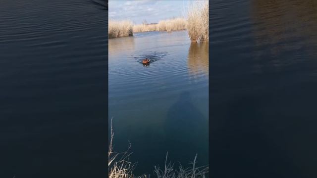 Лодка за захранка V18 GPS Fluo Camo смотреть онлайн