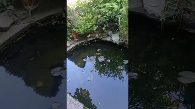 храм на змеиной горе смотреть онлайн