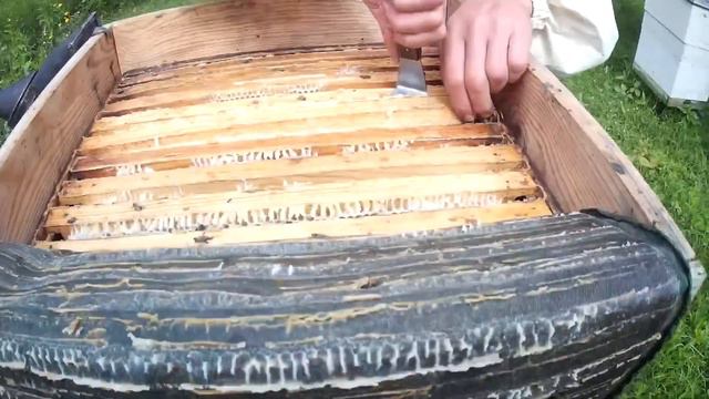 Ранние отводки, результат по мёду смотреть онлайн