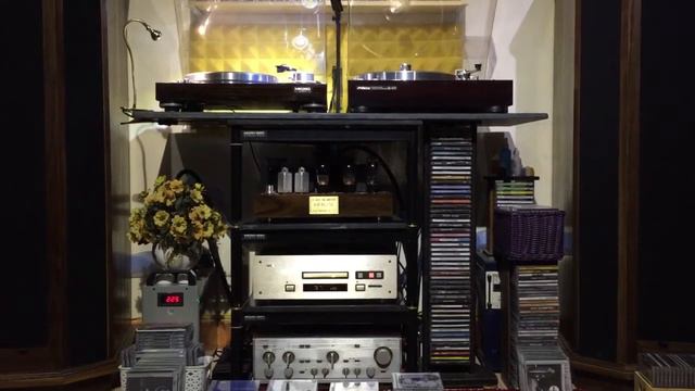 Modern Talking - Cherry Cherry Cherry lady - Saxophone смотреть онлайн