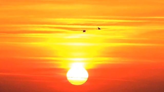 Закаты и рассветы смотреть онлайн