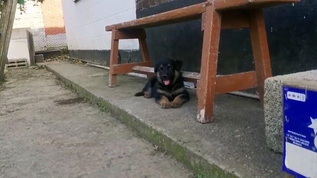 Влог:Переехали на Юг с Дальнего Востока /Купили Дом/Будем всё сносить.... смотреть онлайн