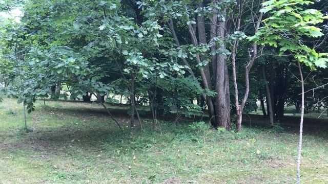 НА ОТКРОВЕННЫХ ФОТО УЗНАЛ СВОЮ ЖЕНУ. Интересные реальные истории из жизни и любовные аудио рассказы смотреть онлайн