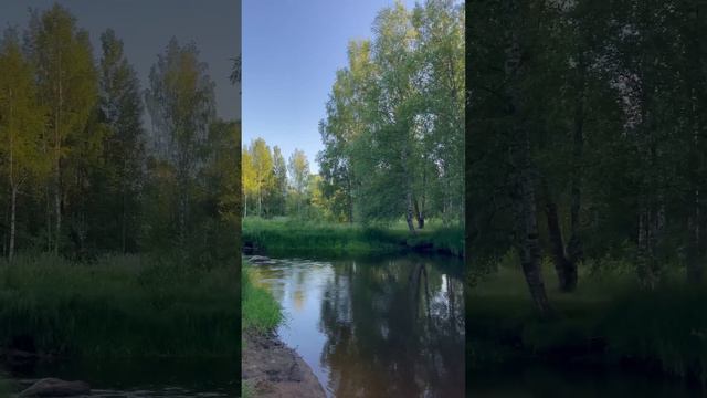 Матушка Земля🇷🇺 #shorts смотреть онлайн