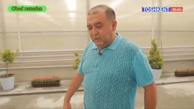 Obod xonadon | Гортензия етиштириш сирлари [09.07.2022] смотреть онлайн