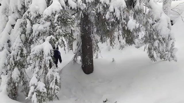 Дорога в КАМЕННЫЙ ГОРОД. ПЕРМЬ. УСЬВА. УРАЛ. ПЕРМСКИЙ КРАЙ. ЗИМА в ПЕРМИ. СНЕЖНЫЙ СКАЗОЧНЫЙ ЛЕС. смотреть онлайн