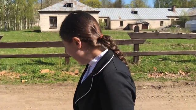 Коноблог/ Старт по конкуру/ упало дерево?😱 смотреть онлайн
