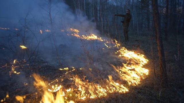 ЦПЧС SMS помощь смотреть онлайн