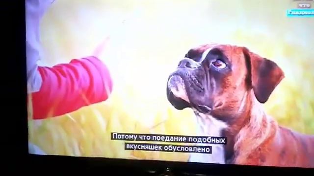 Как ты съел какашку смотреть онлайн