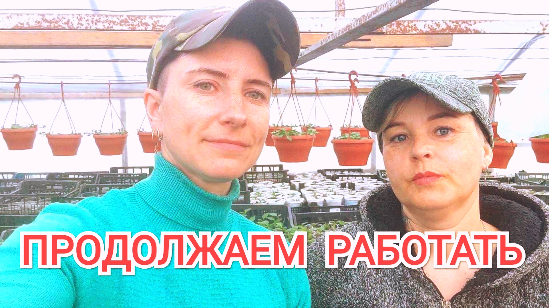 Тепличные работы 2022, о Тайдале, стрижка, перевалка, пикировка.... смотреть онлайн