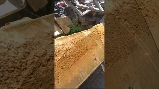 Как много мусора после субботника. Беригите лес. смотреть онлайн