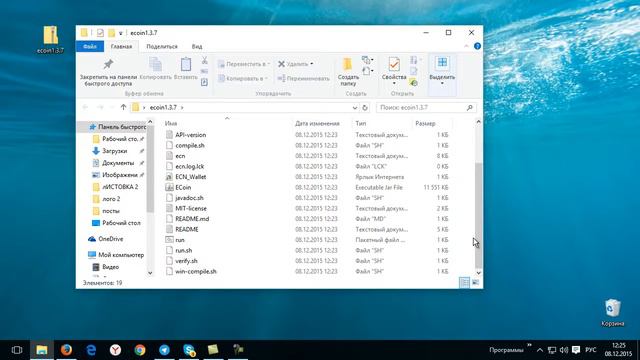 Как установить и запустить кошелёк Ecoin на Ecoin.zone смотреть онлайн