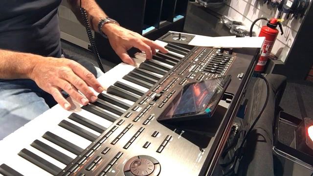 Enigma Sadness on Korg PA4x by Peter G смотреть онлайн