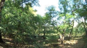 Опасная охота на етти/йети