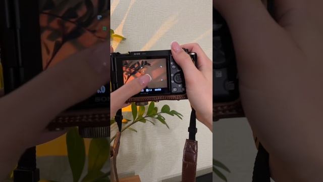 Краткий обзор камеры Sony ZV-E10 смотреть онлайн