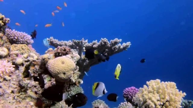 Песня индийского гостя..mp4 смотреть онлайн