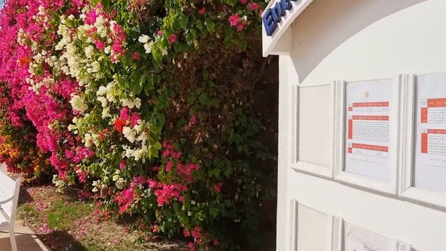 ПОЛНЫЙ ОБЗОР ОТЕЛЯ DESERT ROSE 5* ХУРГАДА?НОРМАЛЬНЫЙ ОТЕЛЬ ЗА СВОИ ДЕНЬГИ? смотреть онлайн