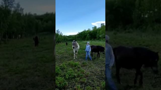 5б доброта сердец 2021 смотреть онлайн