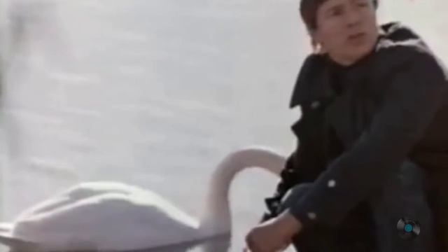 Песня осталась в памяти миллионов людей смотреть онлайн