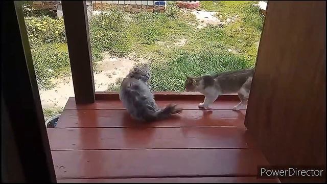 весна холодная весна