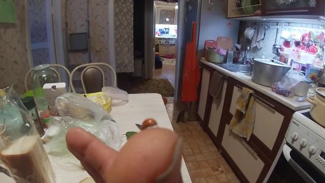 декабрь дома живёт божья коровка смотреть онлайн