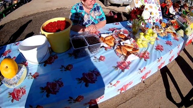 Кувшиново праздник урожая смотреть онлайн