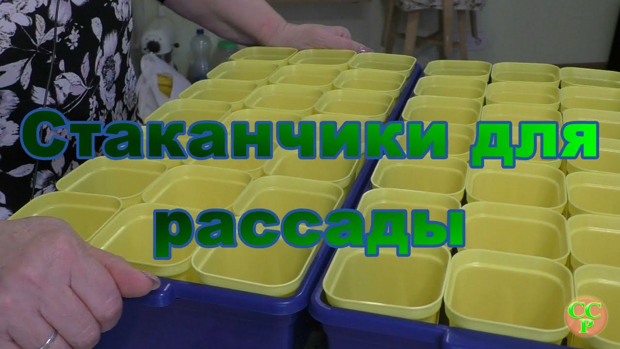 Удобные стаканчики для рассады