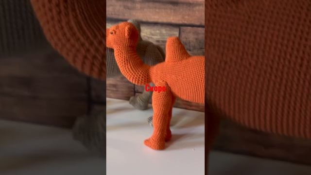 Жизнь на Планете Земля