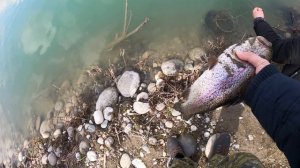 Рыбалка Осетия. Рыбалка в Чегеме.