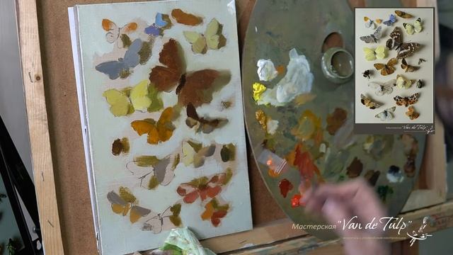 Отрывок из урока Обманка "Бабочки" смотреть онлайн